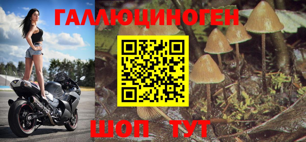 Галлюциногенные грибы прущие грибы Мичуринск