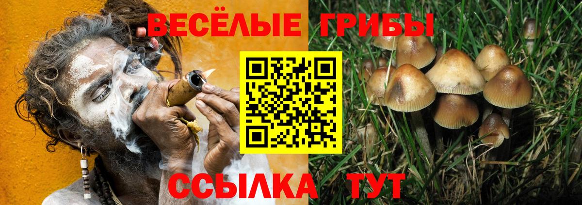 Мичуринск  Галлюциногенные грибы мухоморы  Галлюциногенные грибы ЛСД  Вход с VPN 